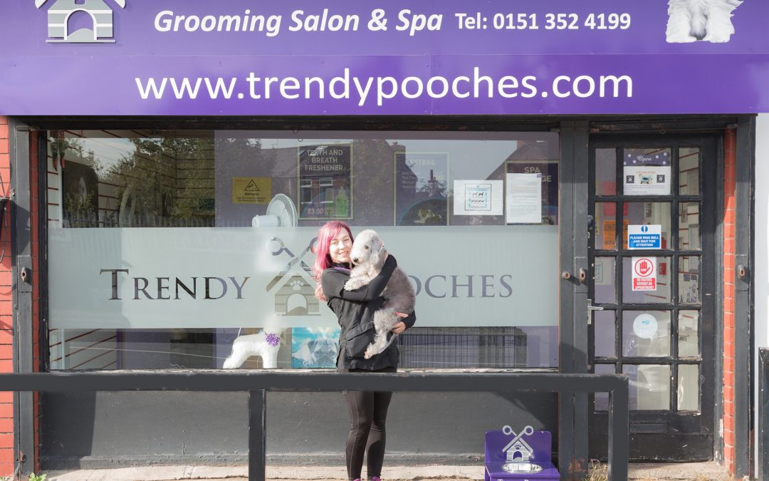 A Great Service for your Pooch!