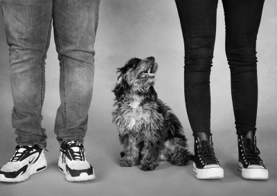 A grey cockapoo puppy looking up at his owners and standing inbetween their legs