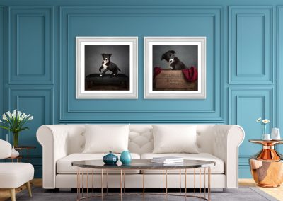 Bespoke Wall Art for your home dogs on a a lounge wall above a sofa Chester pet photographer