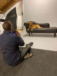 Chester pet photographer