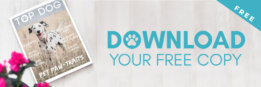 Top Dog Magazine - free download banner