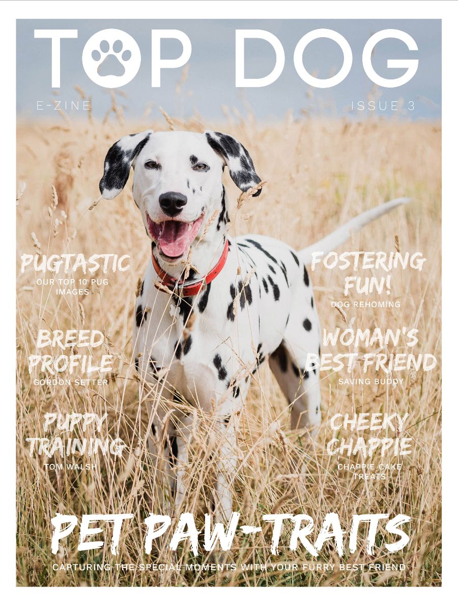 Top Dog, the Free Magazine - Downing Lifestyle Photography